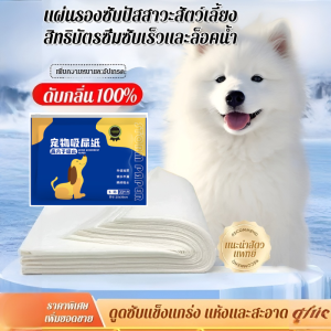 แผ่นปัสสาวะสุนัข กระดาษดูดซับปัสสาวะแบบแห้งเร็ว กระดาษดูดซับกลิ่นแมว กระดาษดูดซับปัสสาวะ ดับกลิ่นแรง กระดาษเช็ดปัสสาวะชนิดหนาและทนทาน
