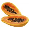 50 Seeds Sweet Cream Papaya Seeds Bonsai Papaya Seeds for Planting Vegetable Plants Dwarf Papaya Seeds Heirloom Variety Red Baby Papaya Plant Seed Papaya Fruit Seeds Papaya Tree Seeds Bonsai Tree Live Plant Dwarf Fruit Trees Seedlings Vegetable Plants. 