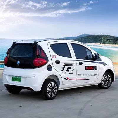 2023 New Energy Electric Vehicle Four Wheelers Adult Oil and Electricity Dual-purpose Female Battery Walking Car Home New Style