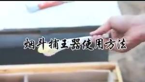 2PCS Beekeeping King Bee Catcher Catching Queen Cage Device Catch King Apicultura Rearing System Bee Supplies