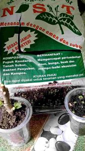MEDIA TANAM ORGANIK KEMASAN 1 KG KWALITAS PABRIKAN