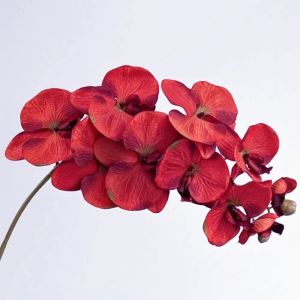 RBRY Real Touch Artificial Butterfly Orchid 10 Heads Iron Wire Inner Lining Fake Phalaenopsis Flower 3D 98cm Simulation Flower Home Decor