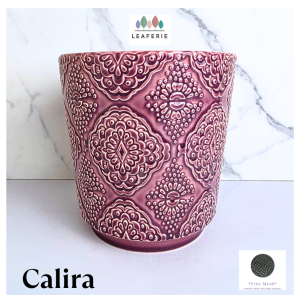 The Leaferie Calira plant pots. flower flowerpots . flower pot . planter . planters