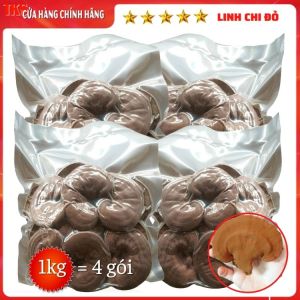 1 KG NẤM LINH CHI ĐỎ KHÔ Hữu Cơ Nhà Trồng