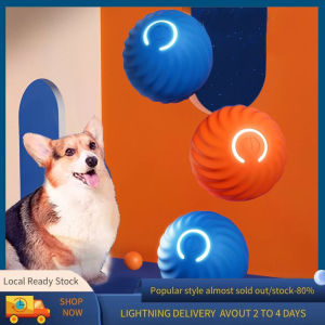 Kebidumei Smart Dog Toy Ball: An Automatic Moving Bouncing Ball for Small & Medium Dogs & Cats