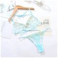 Lingerie Japanese Mature Women Sexy Lingerie Bikini A137. 