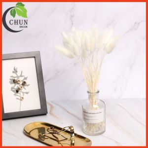 Hoa khô bình hoa cỏ đuôi cao 25cm trang trí nhà cửa cửa hàng văn phòng