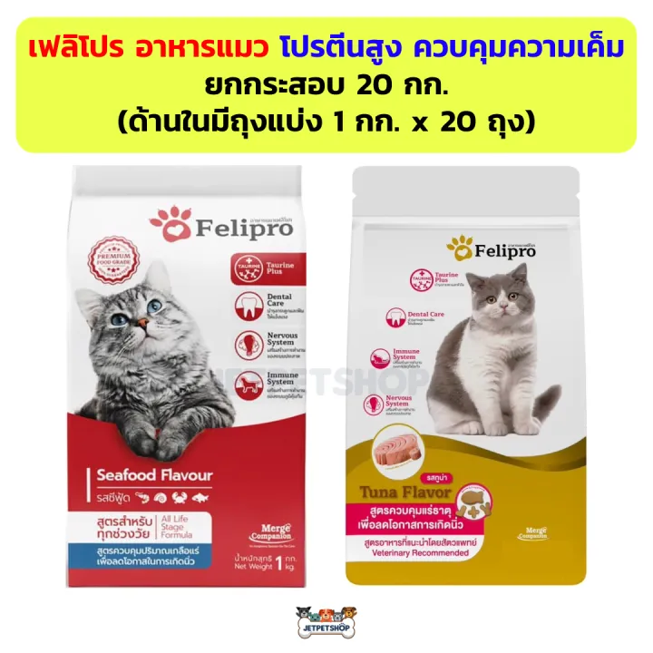 5 อันดับอาหารแมวเกรดพรีเมียมและคุ้มค่า! สูตรลดเค็ม บำรุงขน สำหรับปี 2025