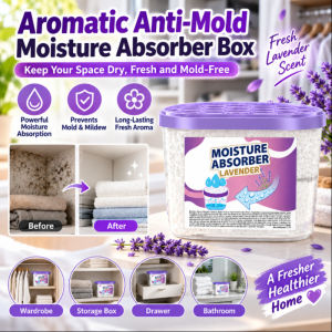 Scented Moisture Absorber Mini Dehumidifier Box Wardrobe Closet Dampness Absorber Air Freshener Anti Mold
