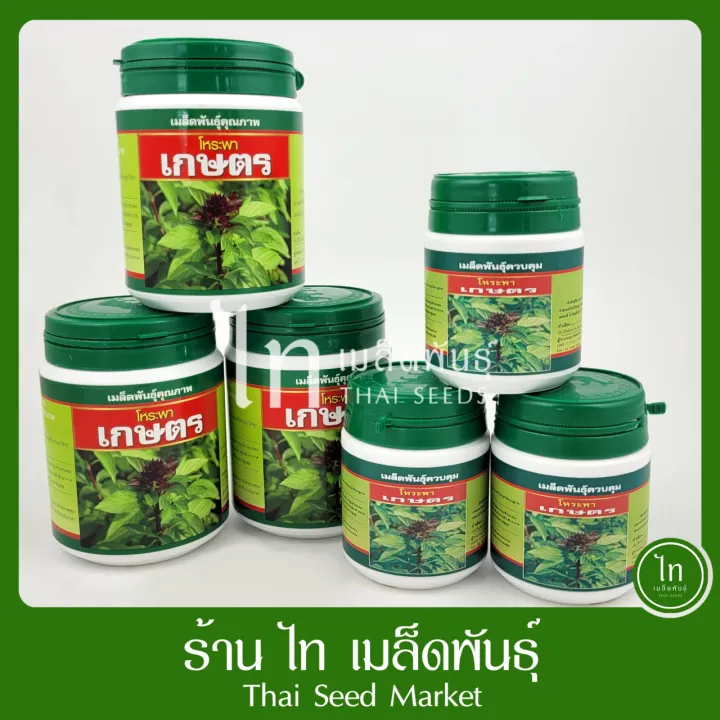 เมล็ดพันธุ์โหระพาใบใหญ่ ตราเสือดาว กลิ่นหอม