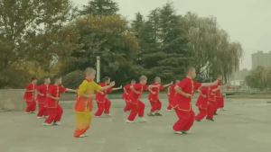 Children Kung Fu Uniform Traditional Chinese Clothing For Boys Girls Wushu Costume Top Pants Suit Set Tai Chi Folk stage Outfit2026