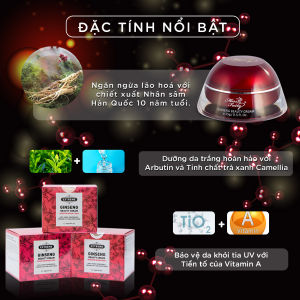 Kem MISS FAIRY Nhân Sâm Đỏ 15g - Dưỡng Trắng Da - Chống Nhăn. - Ngừa Lão Hóa