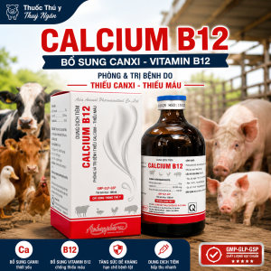 Canxi B12 (100 ml) giúp bổ sung canxi và vitamin B12 cho heo gà chế độ