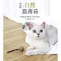 Catnip Matata Polygonum Lollipop 猫薄荷木天蓼棒棒糖. 