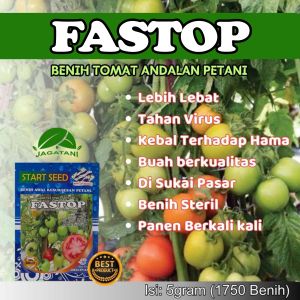 COD Benih Tomat Fastop Unggul 5gr 1750 Biji Berkualitas Jenis Servo Buah Lebat Dataran Rendah Tinggi