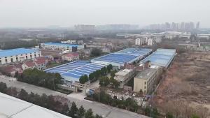 Craft Lollipop Decorated Soft Candy Animal Shape Childrens Fun Snack   Foreign Trade Cross-Border OEM  New Year Candy xpxcilkd2