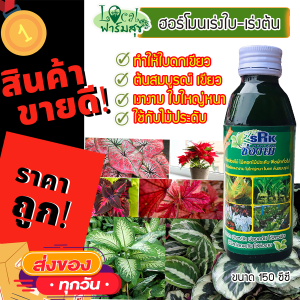 ช่องาม srk ชีวภาพ ปุ๋ย ยา สมุนไพร สำหรับพืชทุกชนิด เร่งต้น สร้างใบเขียวเงางาม ใบใหญ่หนา ใบดก ต้นสมบูรณ์ 🔥ราคาถูกที่สุด 🔥 homes