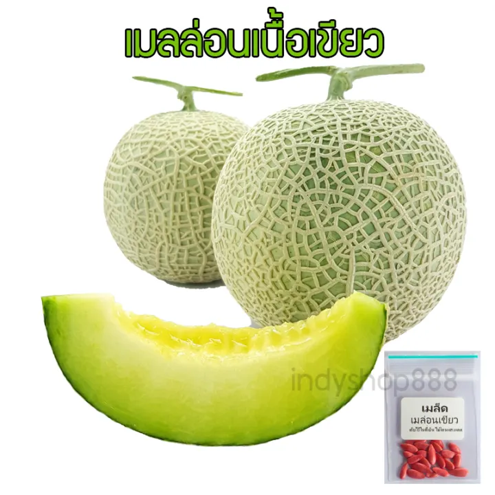 เมล็ดเมล่อนญี่ปุ่น เนื้อเขียว หวานฉ่ำ กลิ่นหอม