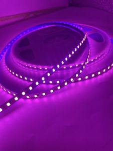 2835 12V เปลือย 120 ดวง ตัวS 20เมตร สีชมพู