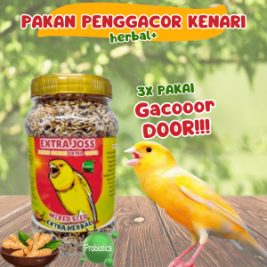 Pakan Racikan Burung Kenari Gacor Harian Lomba Macet Bunyi Extra Joss Herbal