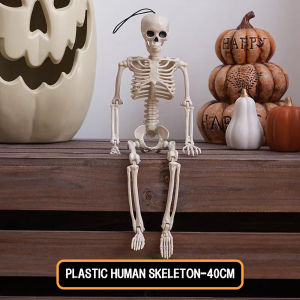 40CM Human Skeleton Model for Medical Learning and Halloween Decoration Artificial Anatomical Skeleton Prop⚡PH deliveryIn stock⚡
