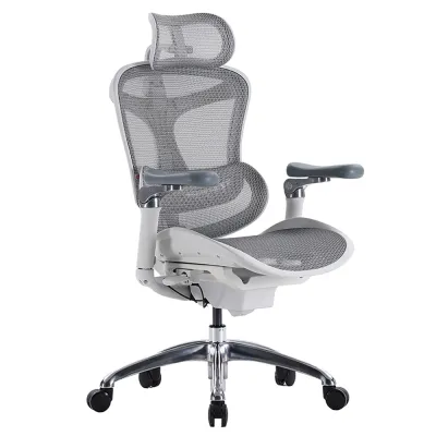 SIHOO Doro C300 V1 Ergonomic Office Chair Mesh Chair Auto Weight Adaptive Recline 6D Armrests Home Office