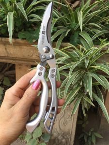 Kéo đa năng nhà bếp kéo zwiliing Đức - Chất liệu thép không gỉ 4CR13 - Trọng lượng 200 Gram