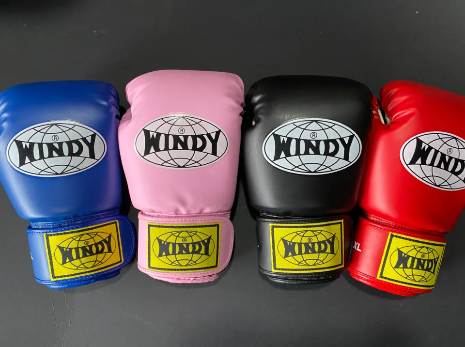 Windy Kids Muay Thai Boxing Gloves Synthetic Leather Large and XL - Main Image