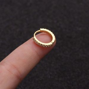 WCYC 1PC 6/8/10mm Daith Conch Snug Silver Gold Rosegold Nose Ring Huggie Hoop Earring CZ Ear Piercing Body Jewelry