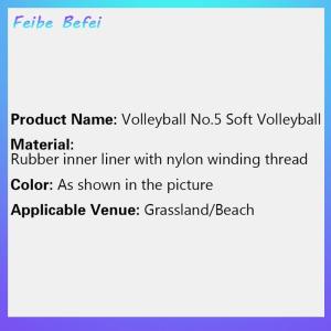 [Feibe Befei] Volleyball Style Professional Competition Volleyball Size 5 Indoor Volleyball Outdoor Beach Volleyball Children Training
