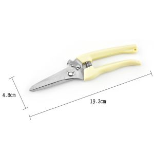 กรรไกรทำสวน  แบบสเตนเลส มีดตัดแต่งกิ่งไม้  มี 2แบบ กรรไกรตัดกิ่ง ประหยัดความพยายาม ตัดกิ้งไม้