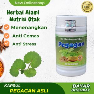 Suplemen Penguat Ginjal dan Vitamin Otak - Kapsul Pegagan Asli isi 60 Kapsul