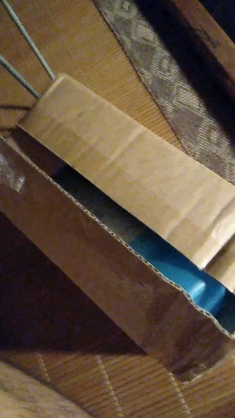 Buyer review video 2