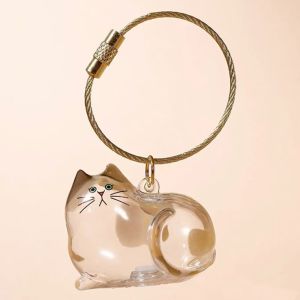 CHUN053634 Small Ornaments Cat Fur Storage Pendant Transparent Container Cute Cat Shaped Creative Keychain Kawaii Bright Link Capsule Stylish Keychain Birthday Gifts