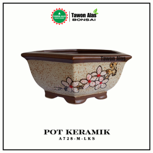 Pot Keramik Bonsai Segi Enam