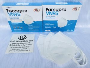 10 CÁI KHẨU TRANG FAMAPRO VN95 (N95) (1 HỘP)/ khẩu trang kháng khuẩn Nam Anh