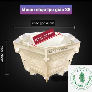 Khuôn đúc chậu cảnh lục giác 38 (khuôn chậu ABS có lòng trong)