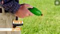 alat potong rumput portable terlaris. 