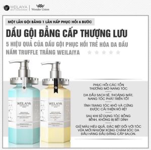 DẦU GỘI XẢ PHỤC HỒI NẤM ĐA TẦNG NẤM TRUFFLE WEILAIYA 450ML CHÍNH HÃNG