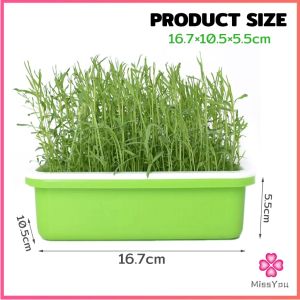 Missyou กล่องเพาะถั่วงอก ถาดเพาะต้นอ่อน ไม่ต้องใช้ดิน นำกลับมาใช้ใหม่ได้ สำหรับมือใหม่ 1ชุด bean sprouts tray