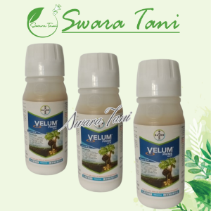 VELUM PRIME 400SC 100 ML Insektisida Nematisida Fluopiram Original