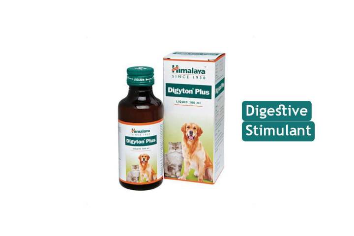 HIMALAYA DIGYTON PLUS SYRUP 100ML | Lazada