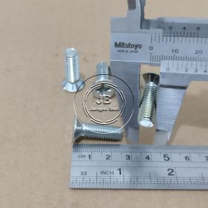 10 BUAH BAUT JF M8X25 PANJANG 25CM 25 CM OBENG PLUS M8 X 25 BAUD 8 8X25 8 X 25 MM 25MM FLAT HEAD PUTIH GALVANIZ GALVANIS GALPANIS PITCH DRAT 1.25