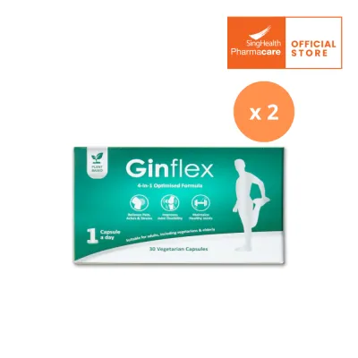 [Bundle of 2] Ginflex Capsule 30s