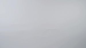 Dimora Pre Wrap Athletic 4 Rolls Prewrap Headband for Hair 120 Yards Foam Underwrap Athletic Tape Best Padding for Underneath Sports Tape 2.75 Inches x 30 Yards - Black