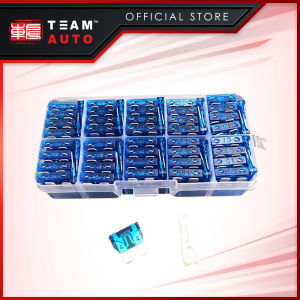 TeamAutoCare TAC6248 100 Pieces Automotive Standard ATO Blade Fuse 15A Replacement Kit with Storage Case and Fuse Puller for Cars Trucks Motorcycles
