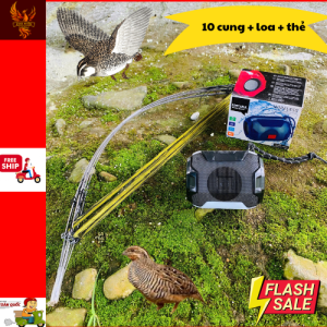 Combo 10 cung bẫy chim cút + 1 loa + 1 thẻ đã tải sẵn tiếng chim cút mồi