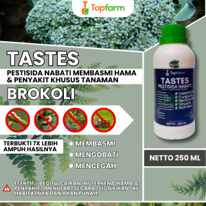 Obat Ulat Brokoli / Obat Hama buah Brokoli / Obat Pestisida Brokoli Ulat / Obat Brokoli / Obat Hama Brokoli / Obat Sayuran Brokoli / Obat Brokoli Boster / Obat Penyubur Tanaman Brokoli