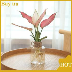 [Buytra] Transparent Flower Pot Vase Hydroponic Container Miniature Landscape Plastic Eco-bottle Home Decoration