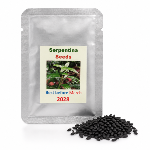 Serpentina (Andrographis paniculata) Seeds | Approx. 50 Seeds Per Pack | Premium Herbal Plant Seeds